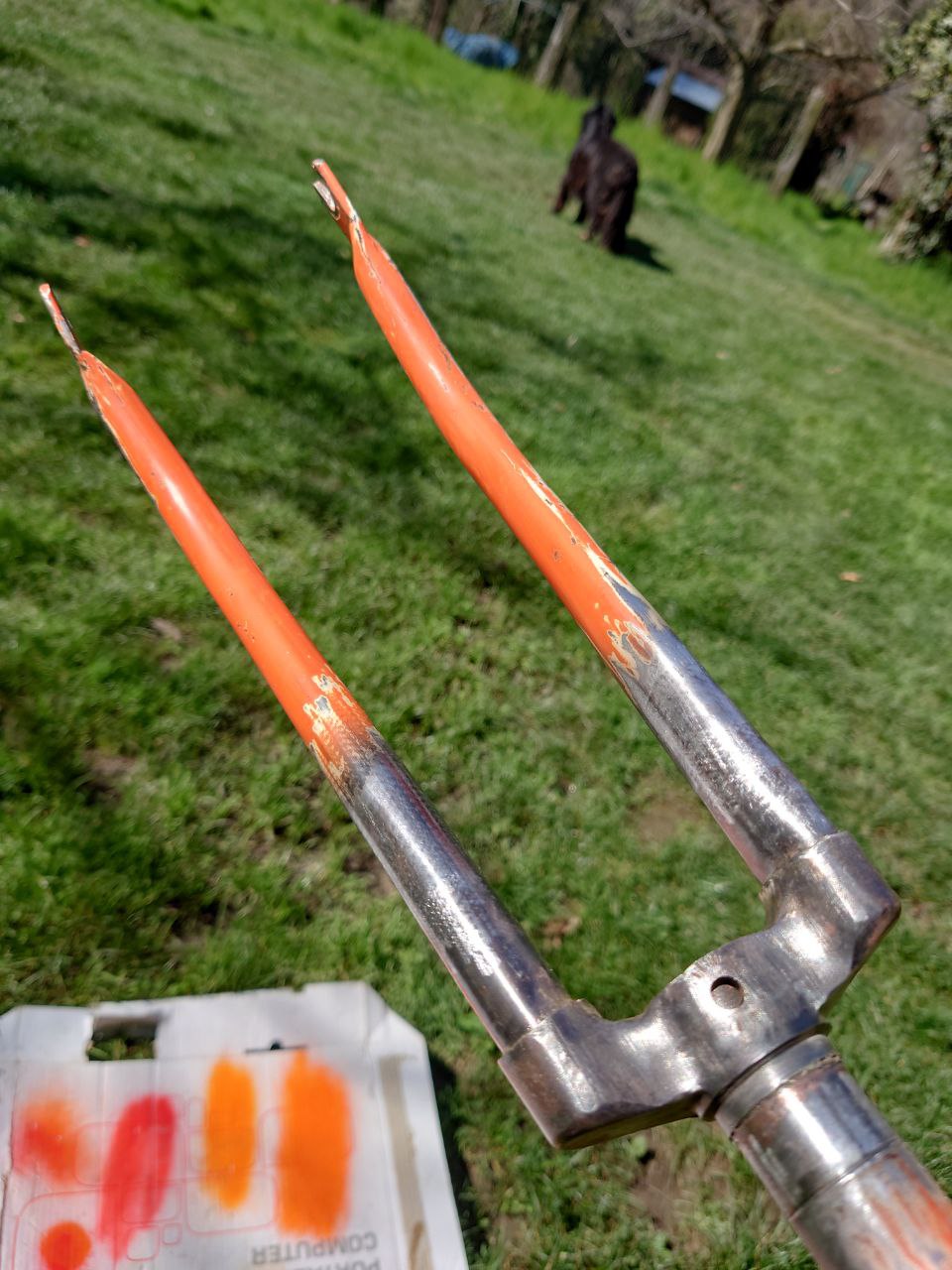 photo_5990318903982672409_y