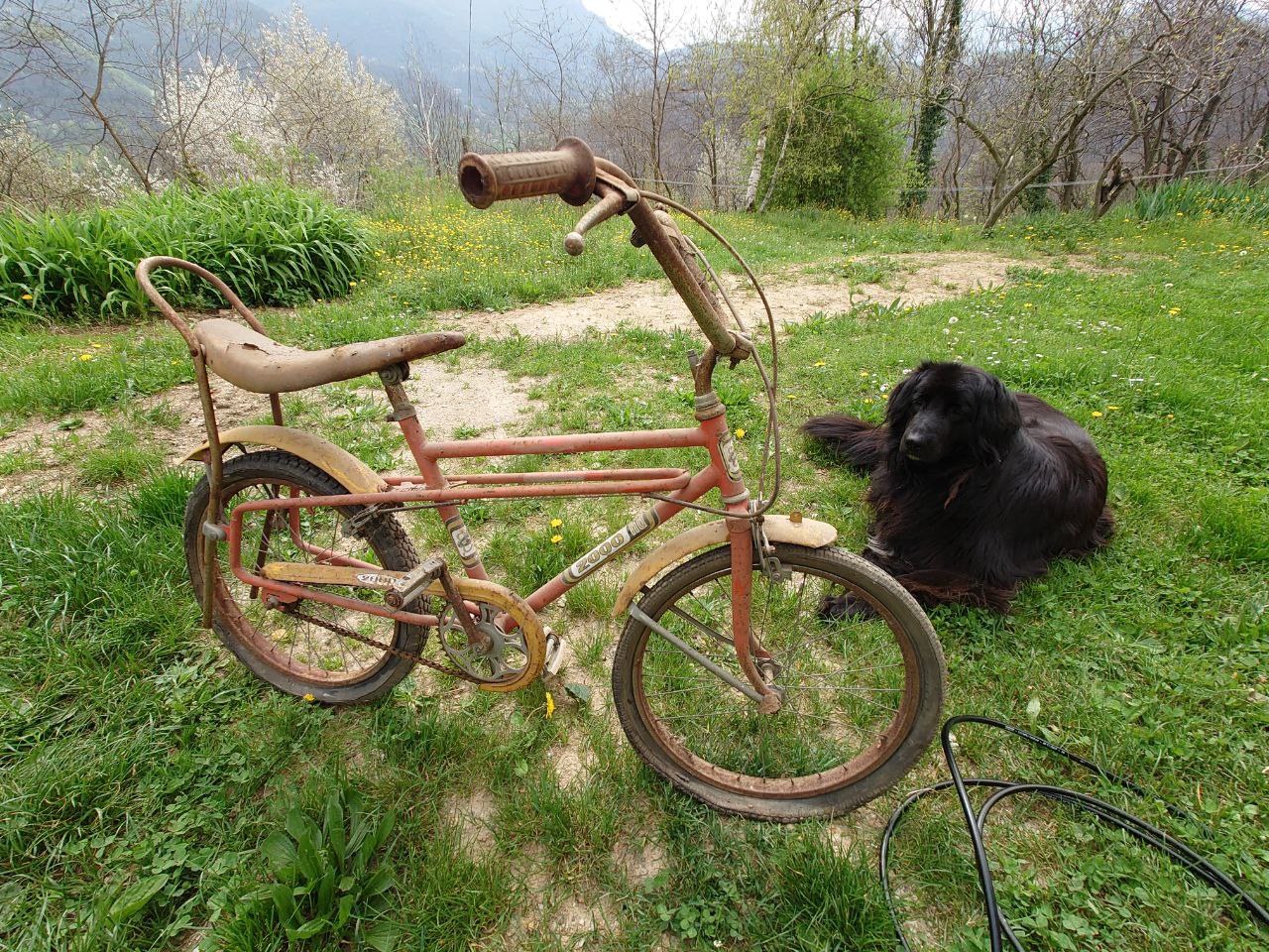 photo_6034836209940939126_y